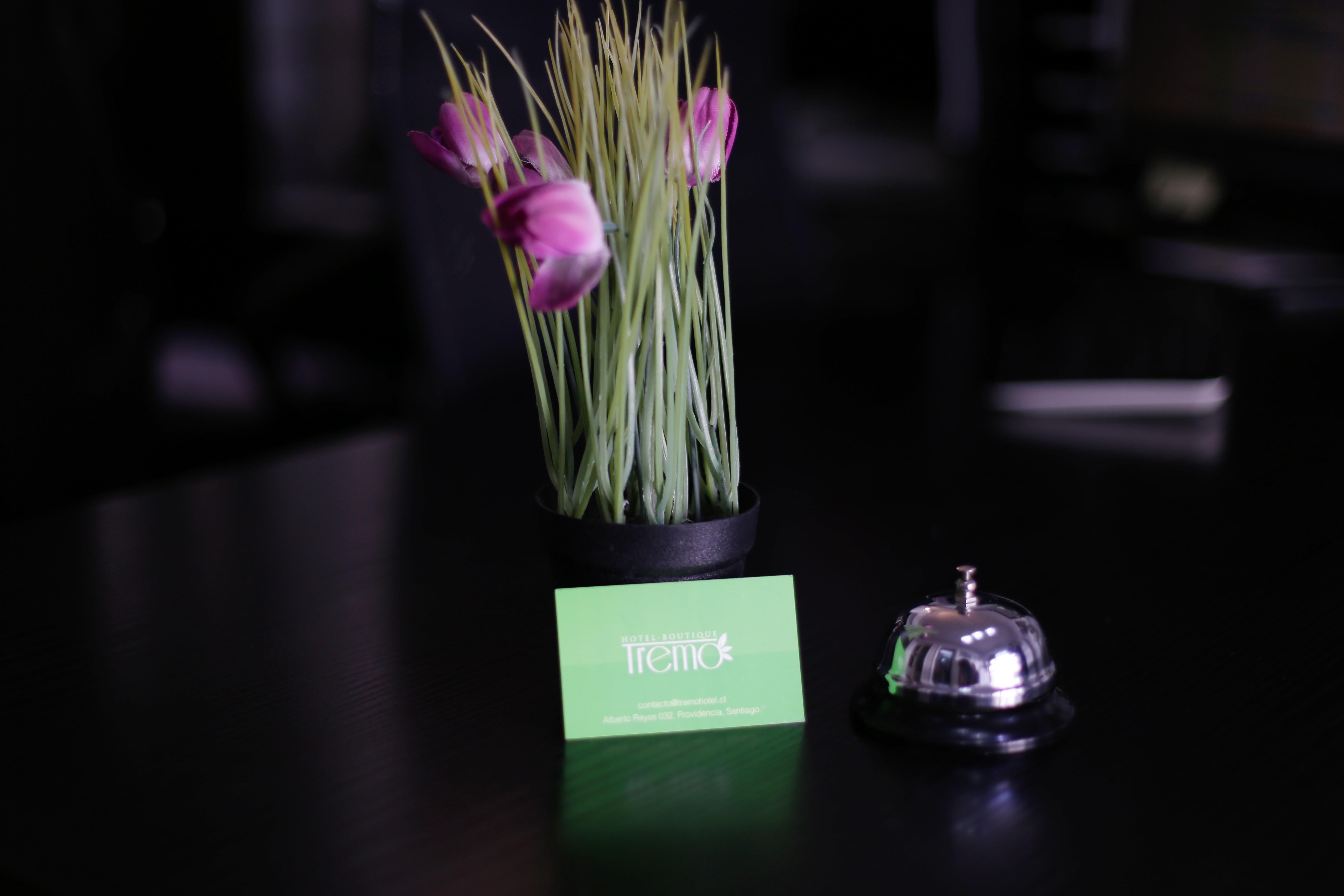 Hotel Boutique Tremo Bellavista Сантяго Екстериор снимка